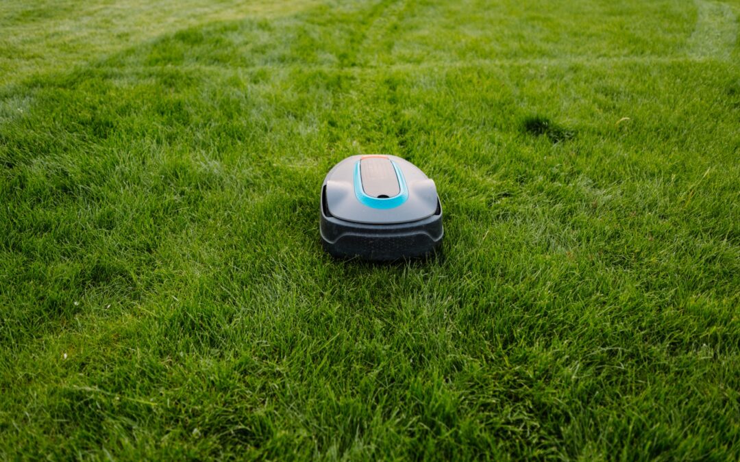Come scegliere il modello più adatto al tuo giardino