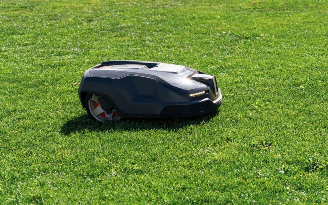 robot tagliaerba senza filo perimetrale